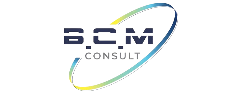 BCM CONSULT